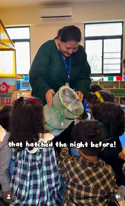 Classroom Theme Ideas