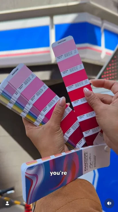 Pink Zebra Game Ideas