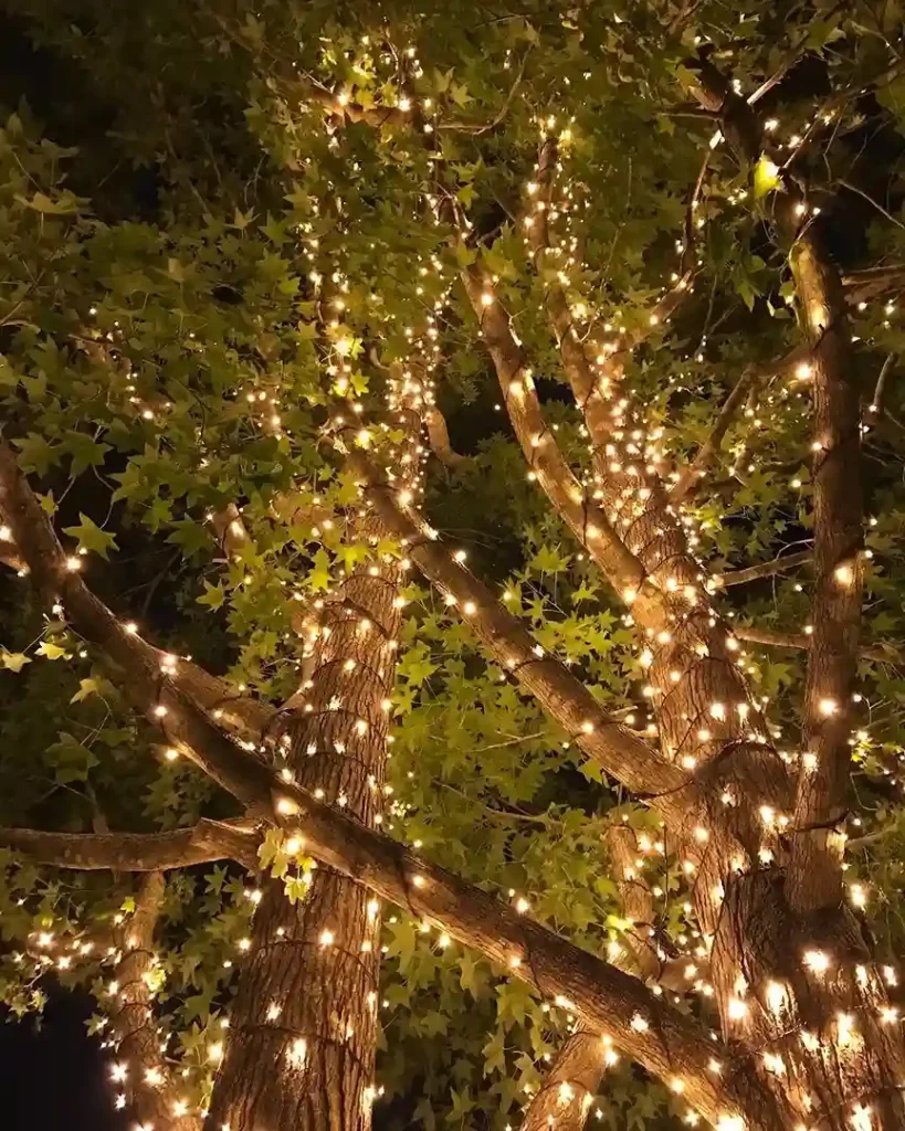 Backyard Lighting Ideas