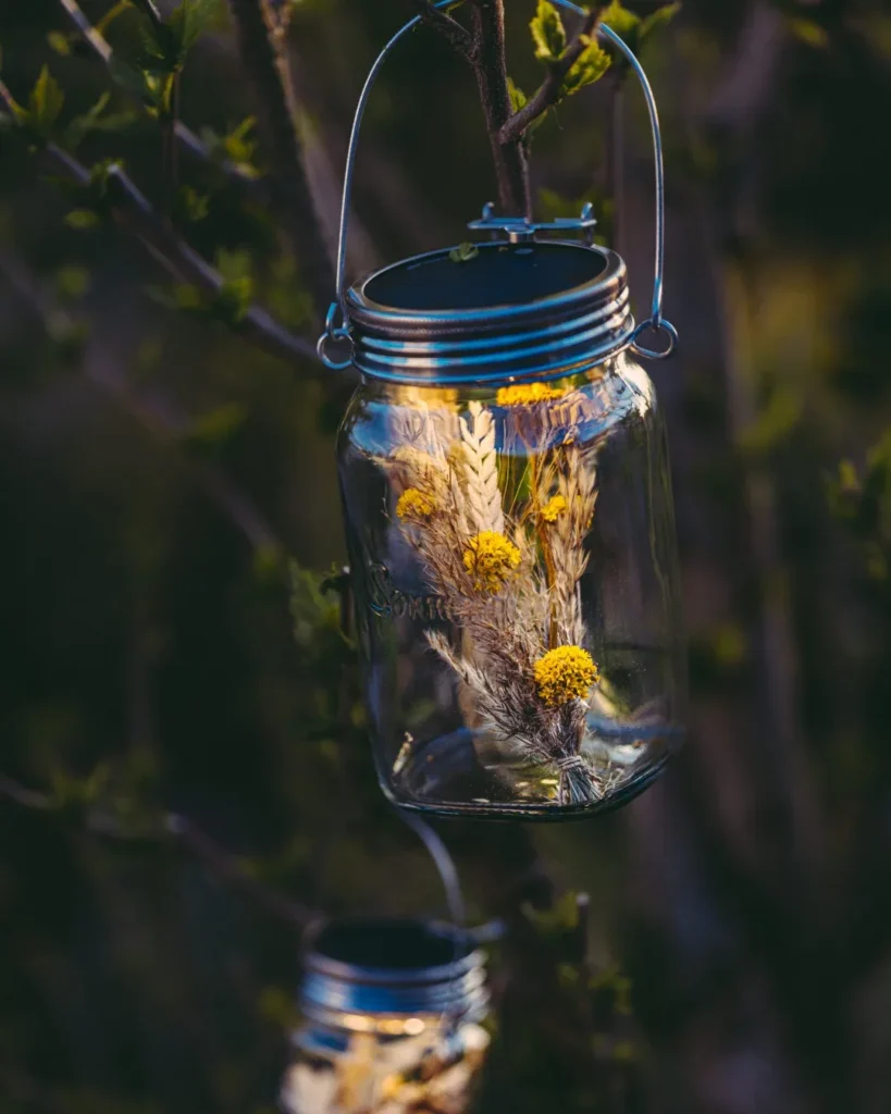 Backyard Lighting Ideas