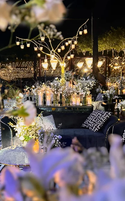 Elegant Quinceanera Theme Ideas