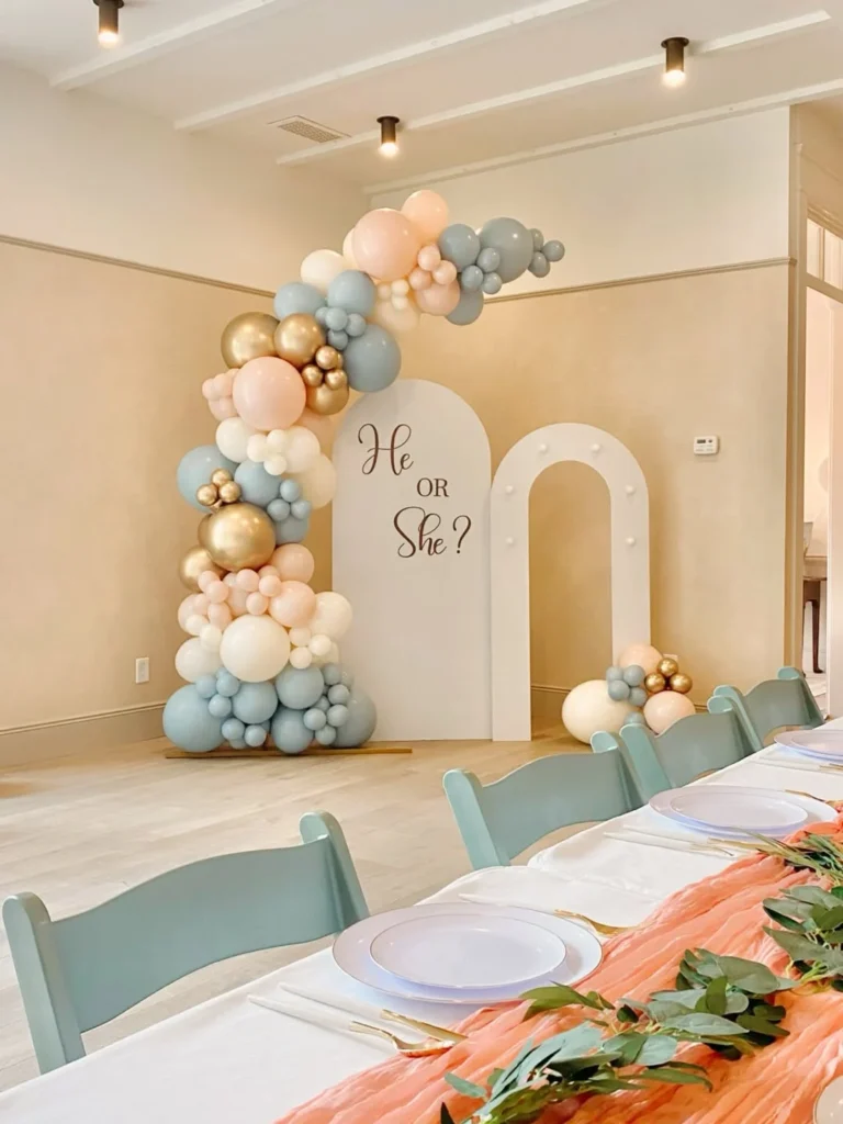 Gender Reveal Theme Ideas