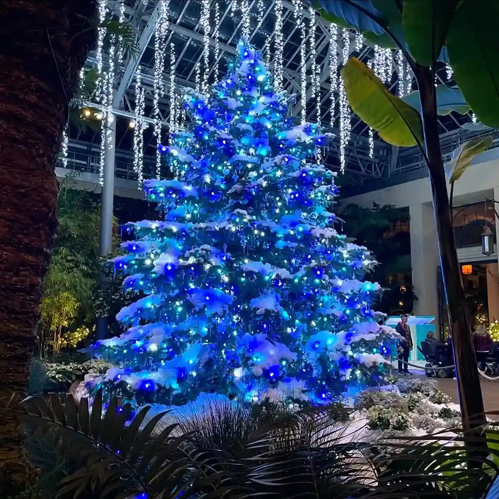 White Christmas Tree with Blue Lights Decorating Ideas