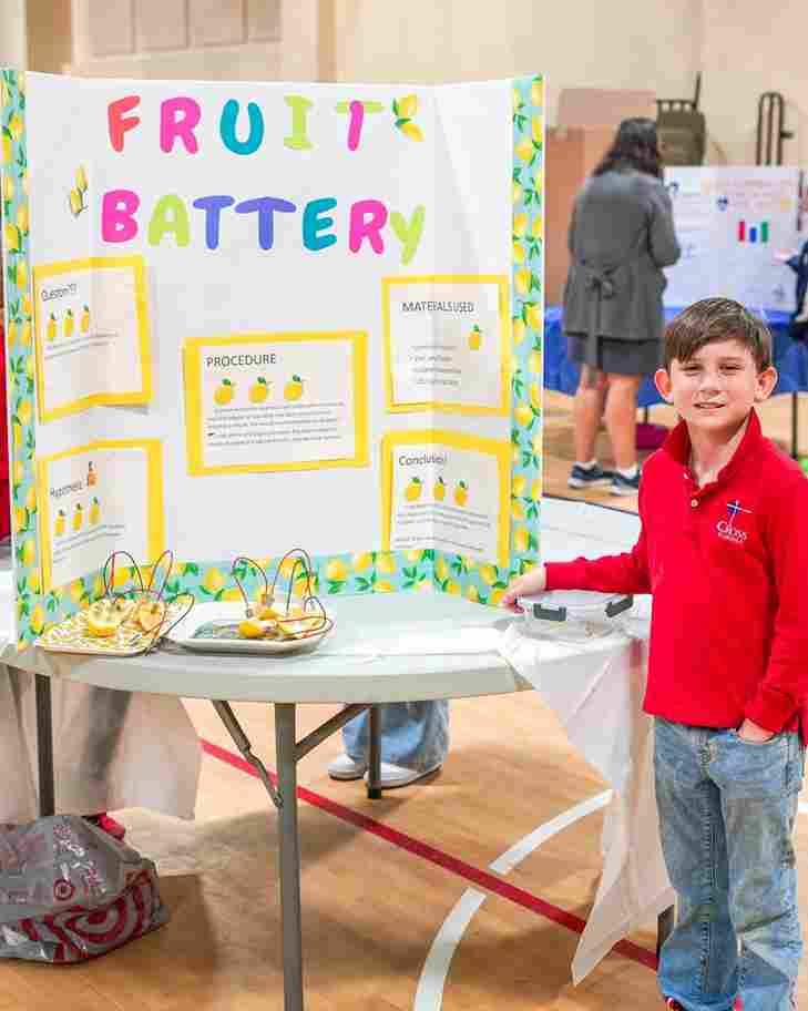 Science Fair Ideas