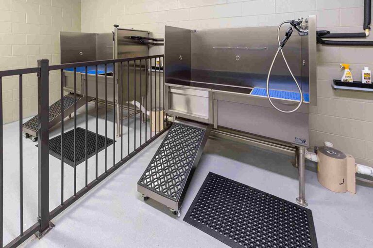 Dog Wash Station Ideas for Easy Pet Grooming