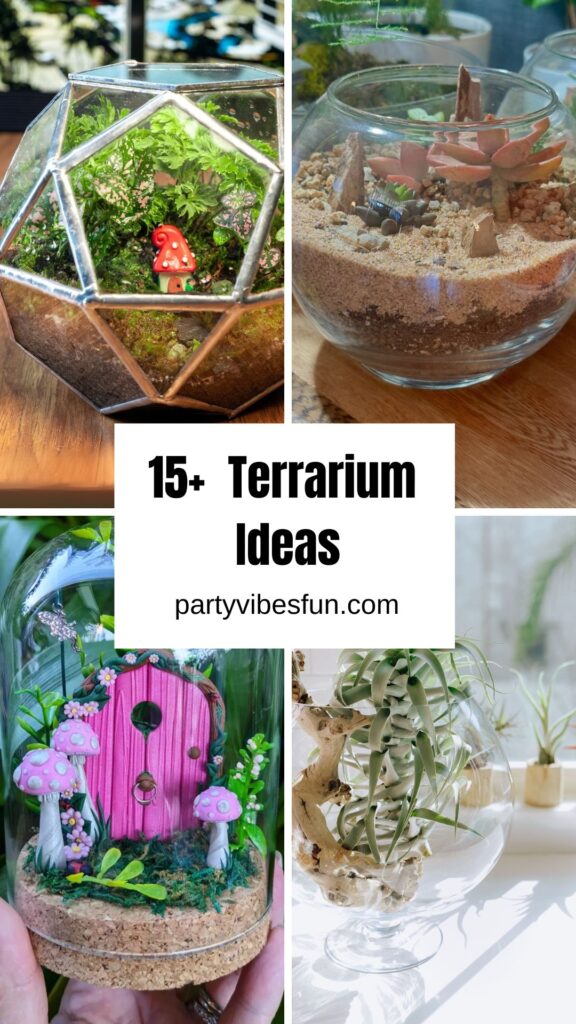 Terrarium Ideas