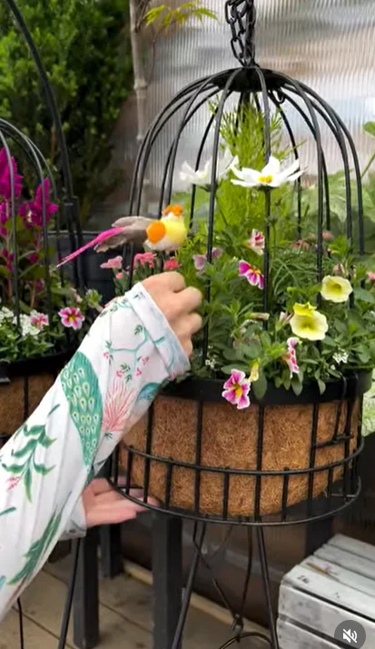 Vintage Garden Decor Ideas