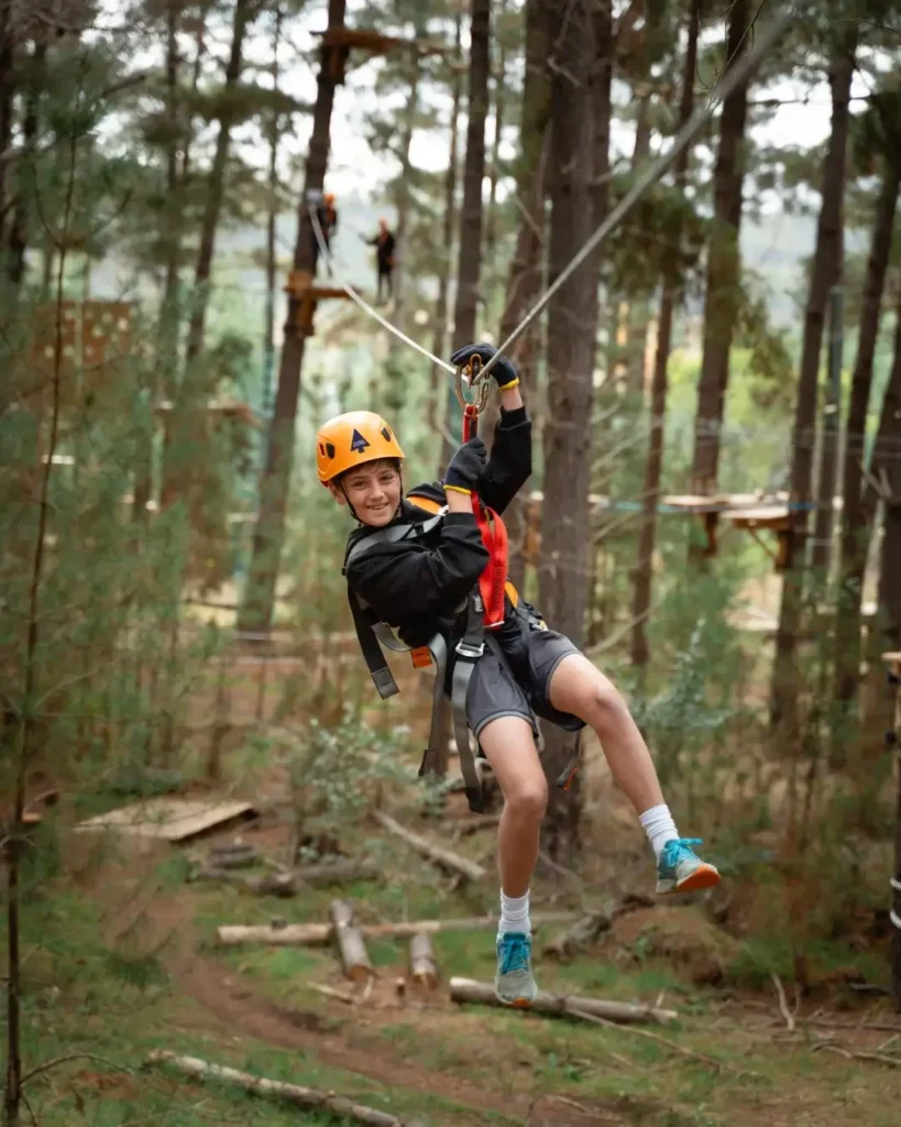 Birthday Freebies Ideas