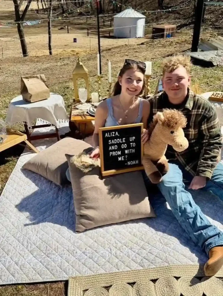 Prom Proposal Ideas for Boyfriend